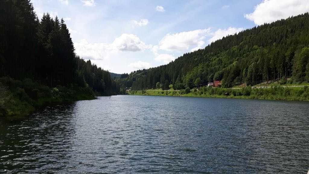 Haus Waldeck Apartment Furtwangen Luaran gambar